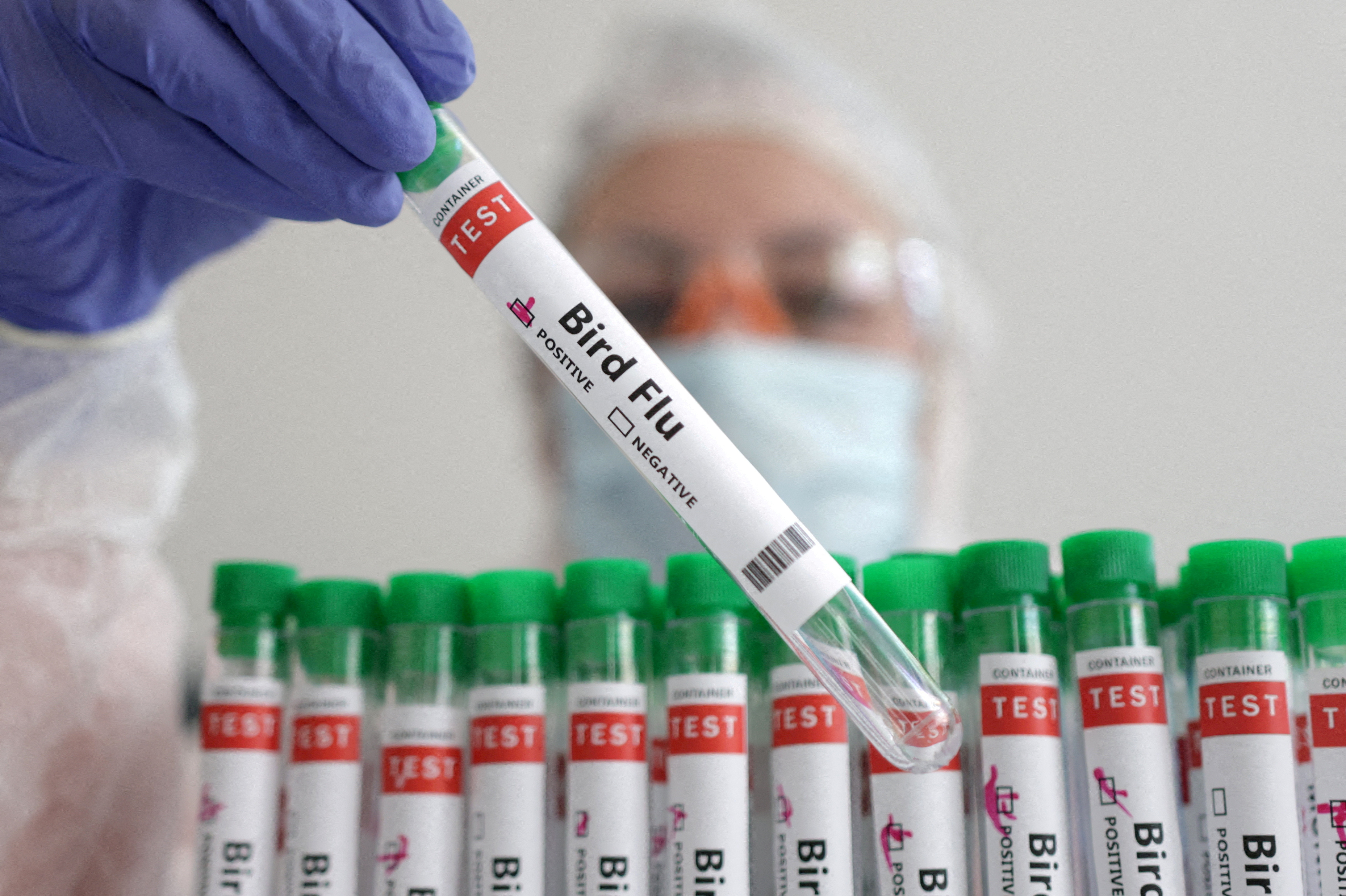 FILE PHOTO: Illustration shows person holding test tube labelled "Bird Flu
