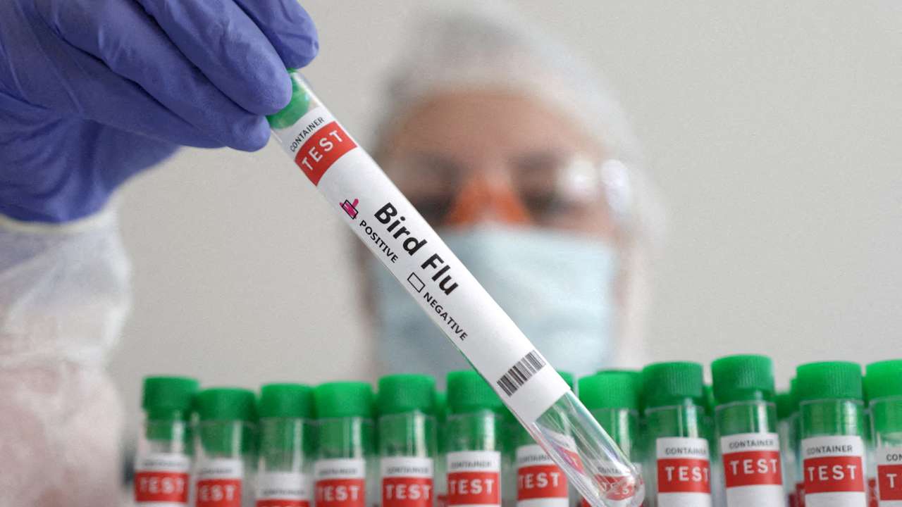 FILE PHOTO: Illustration shows person holding test tube labelled "Bird Flu