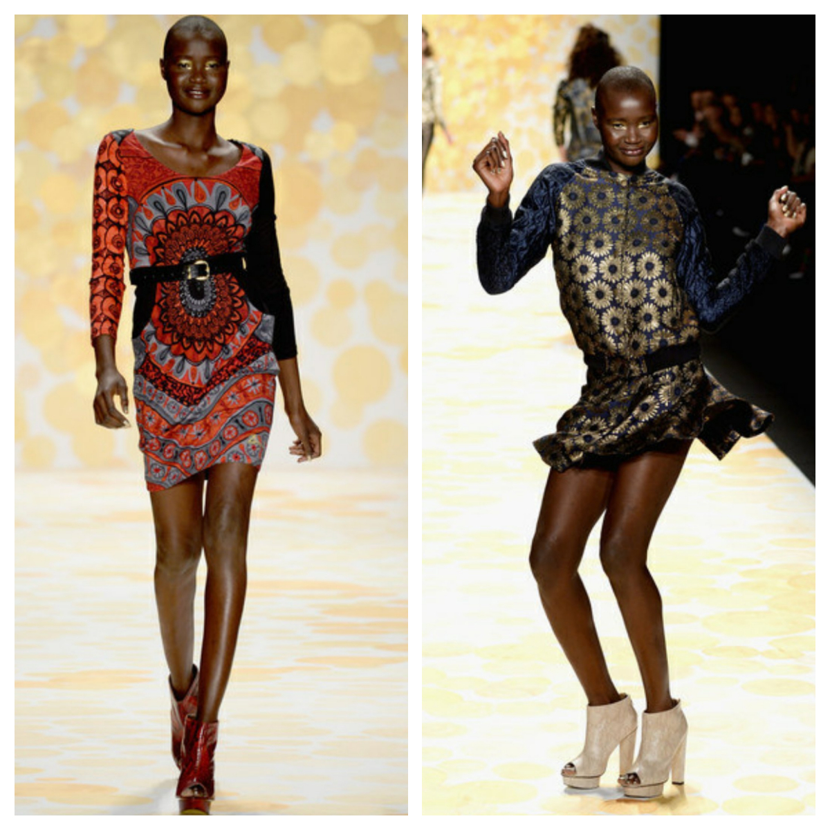 Supermodel Alek Wek