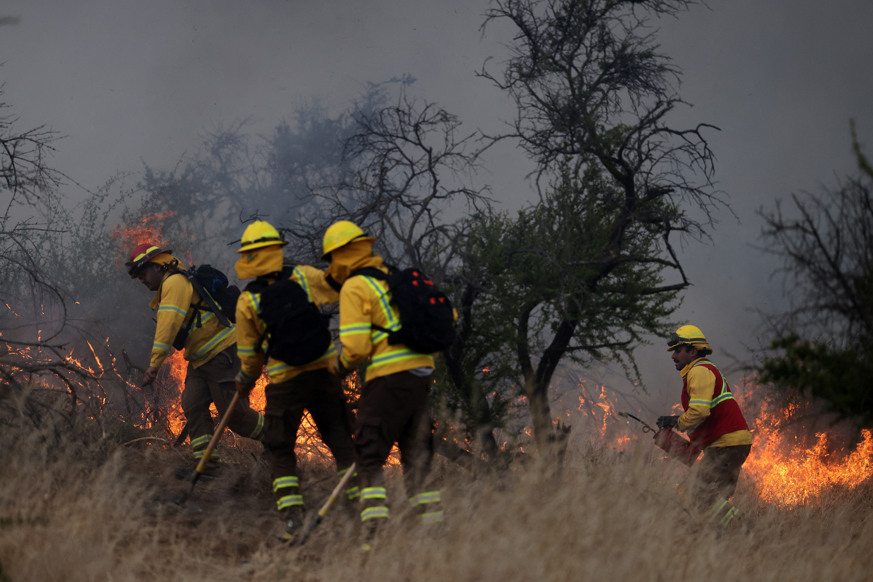 Wildfires in Chile