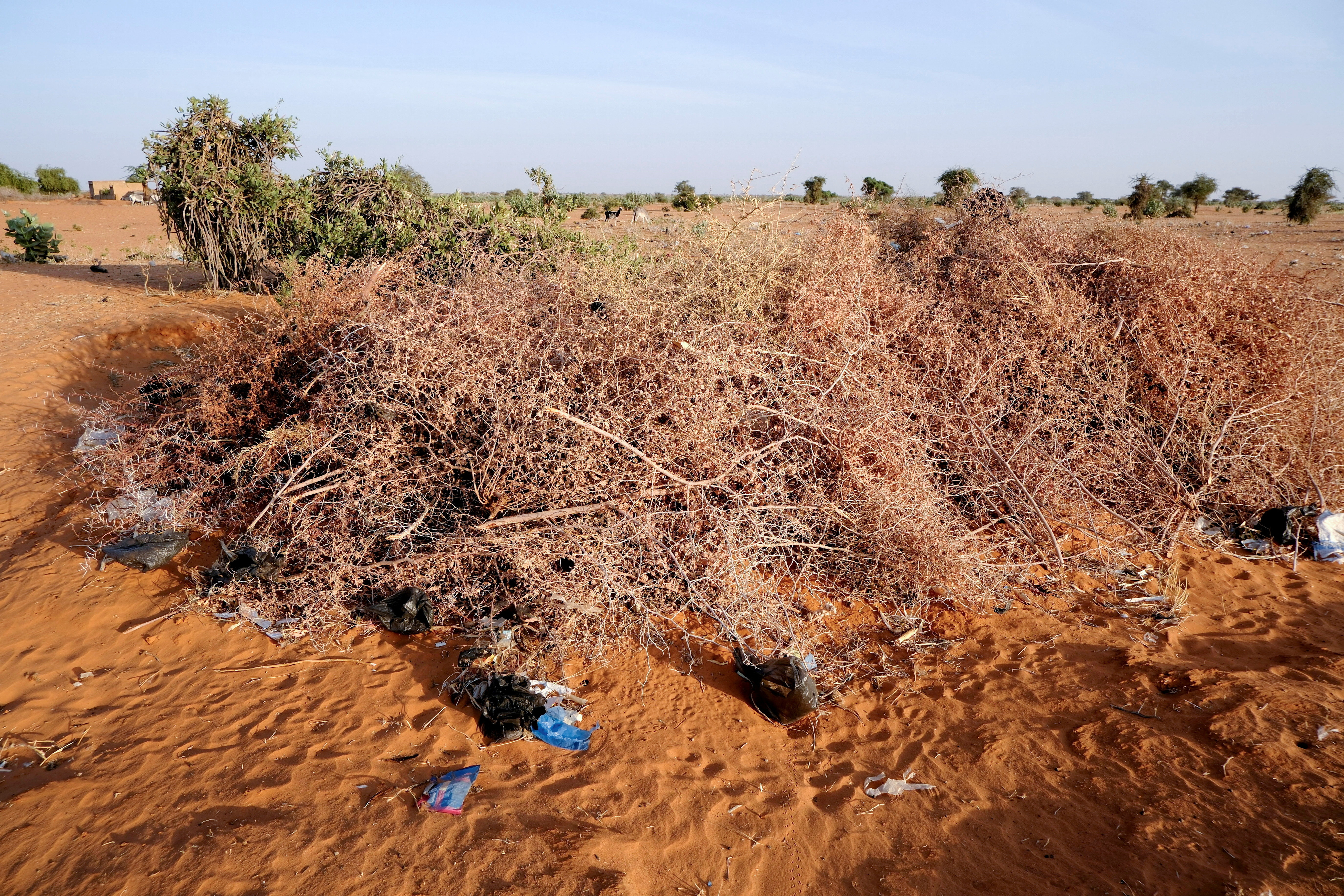 A mass grave for the victims of a drone strike, in North Kordofan