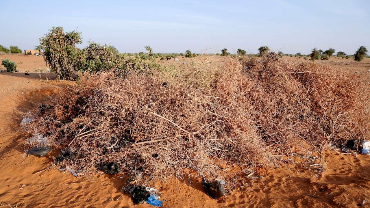 A mass grave for the victims of a drone strike, in North Kordofan