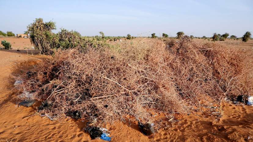 A mass grave for the victims of a drone strike, in North Kordofan
