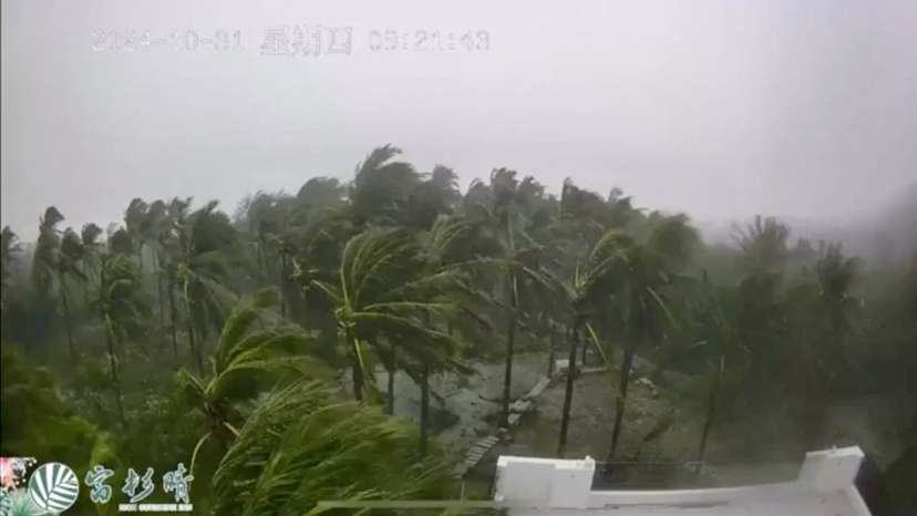 A view of trees blowing in strong winds in Taitung County, Taiwan