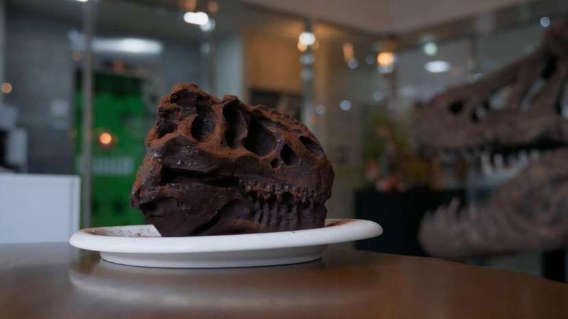 Inside Korea’s viral dinosaur café