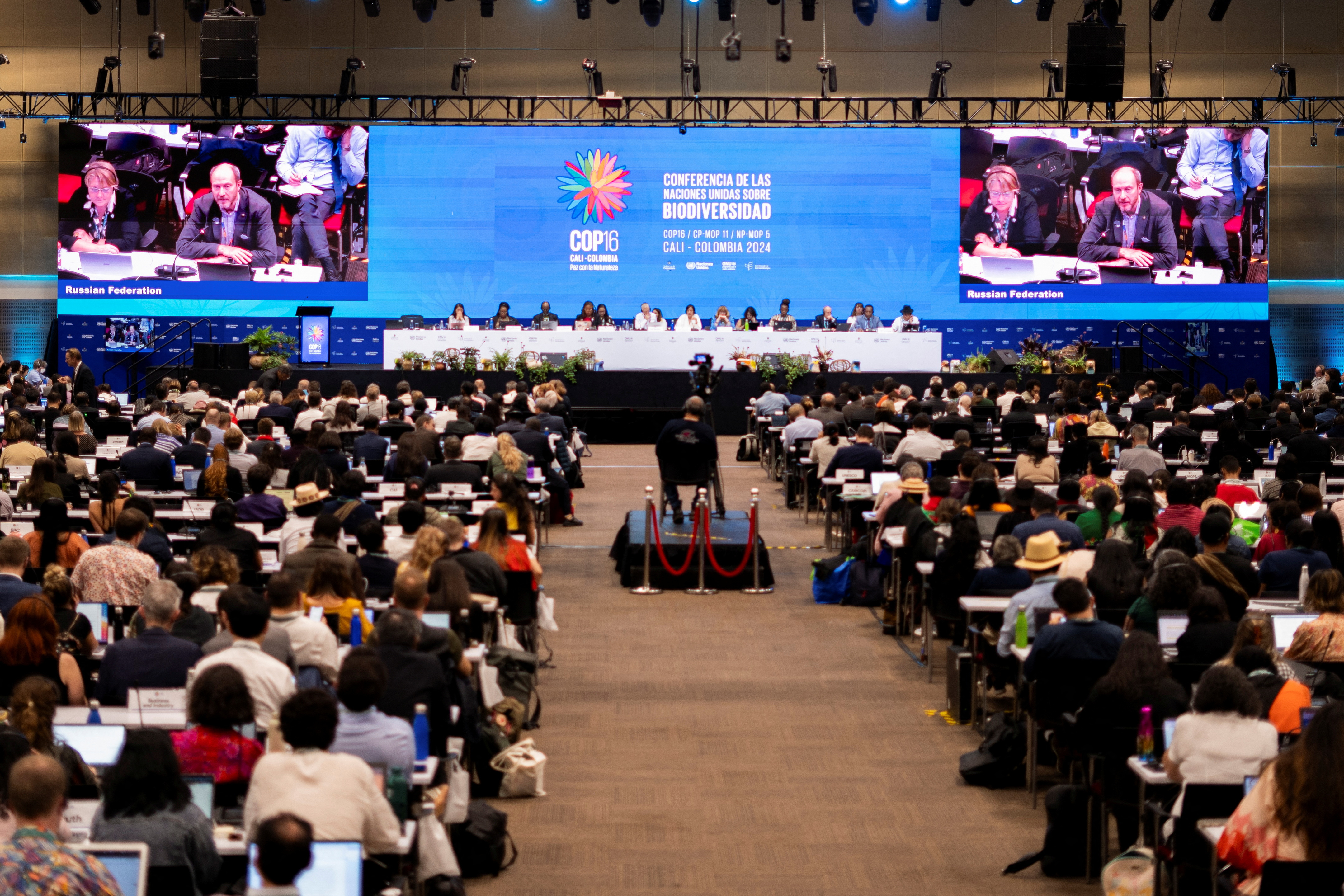 United Nations COP16 nature summit in Cali