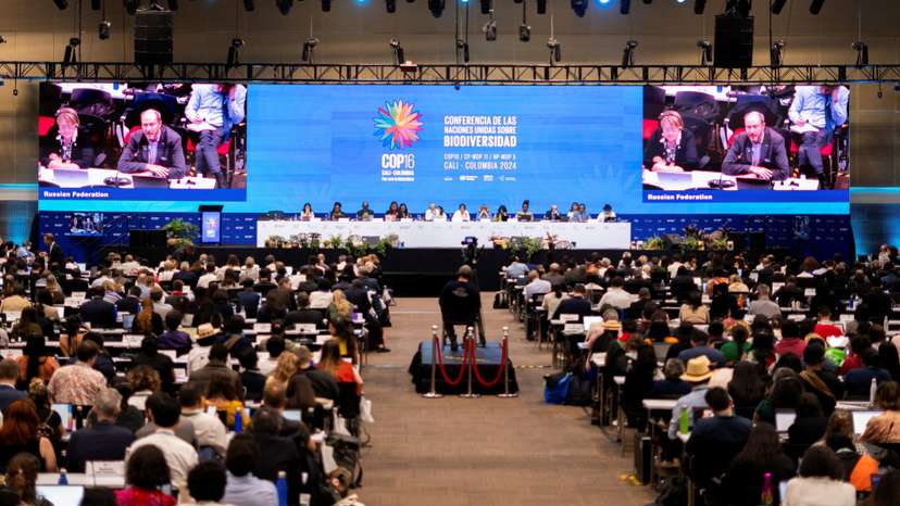 United Nations COP16 nature summit in Cali