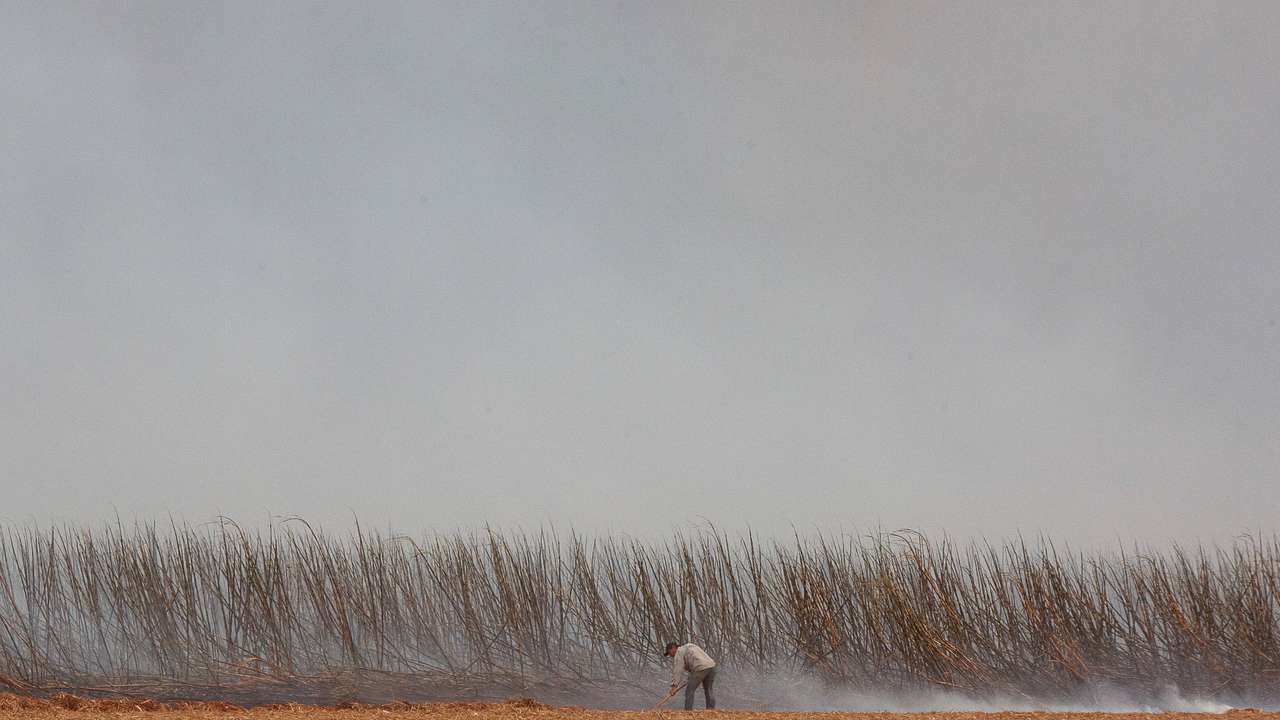 Wildfires affecting 30 cities in Brazil's Sao Paulo state