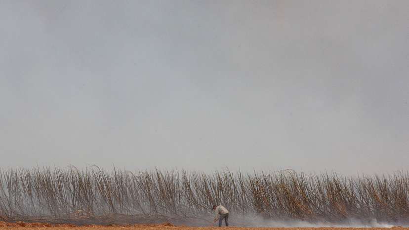 Wildfires affecting 30 cities in Brazil's Sao Paulo state