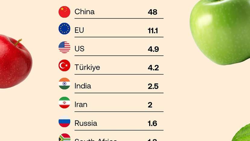 China is the world’s largest producer of apples, cultivating over 48 million metric tonnes annua