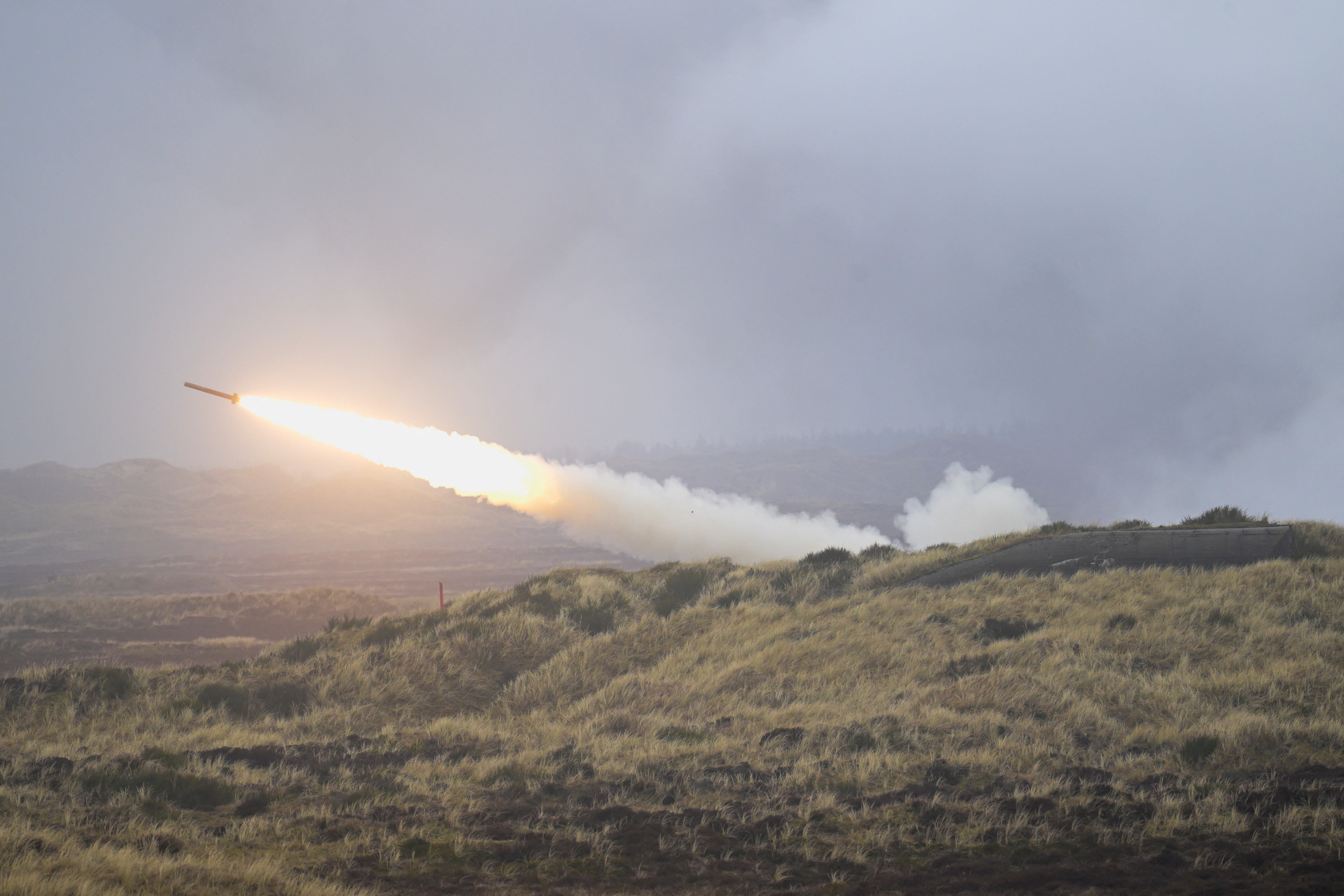 FILE PHOTO: Dynamic Front military exercise led by the United States takes place in a training area, in Oksbol