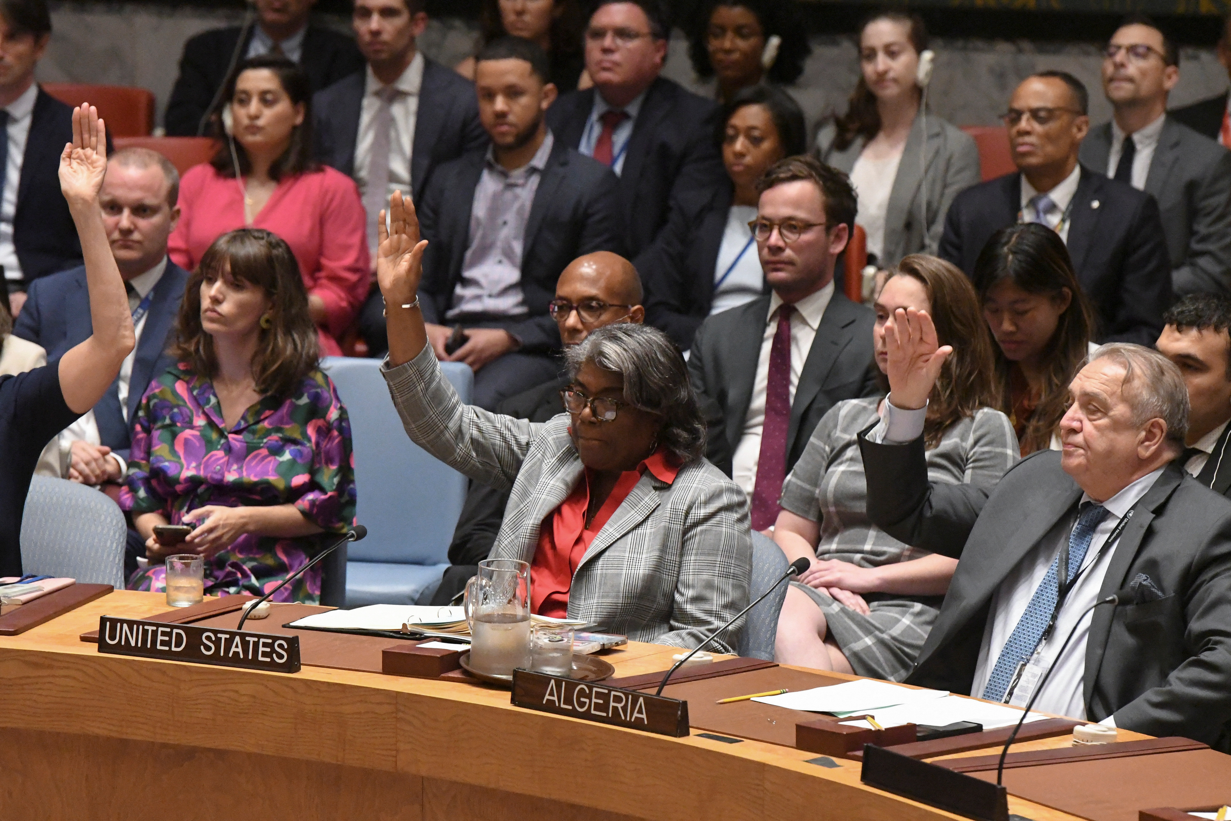 United Nations Security Council votes on a ceasefire proposal