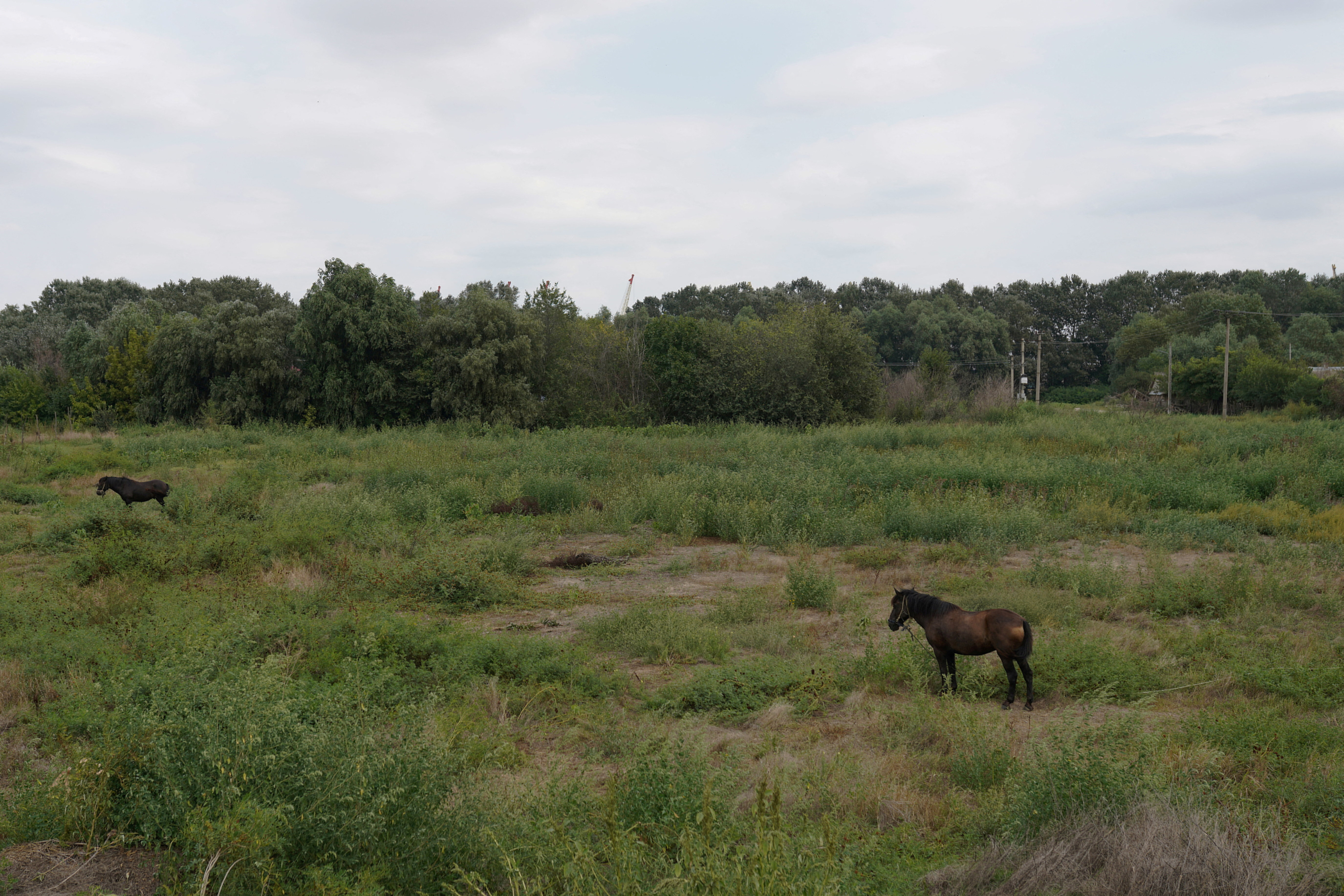 Romanian resident fears risk of drone straying from across Ukrainian border