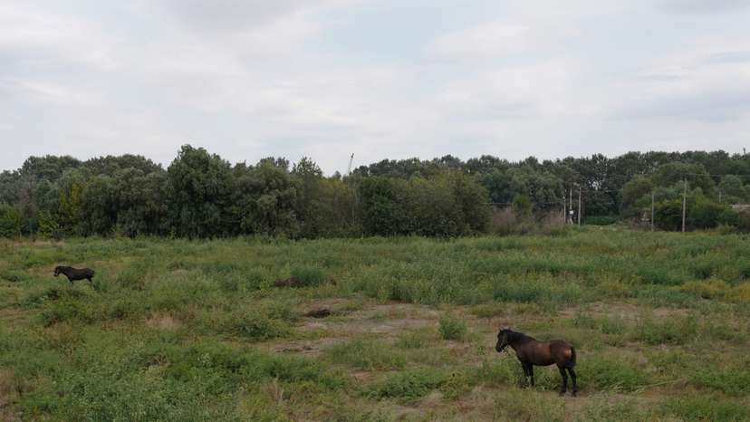 Romanian resident fears risk of drone straying from across Ukrainian border