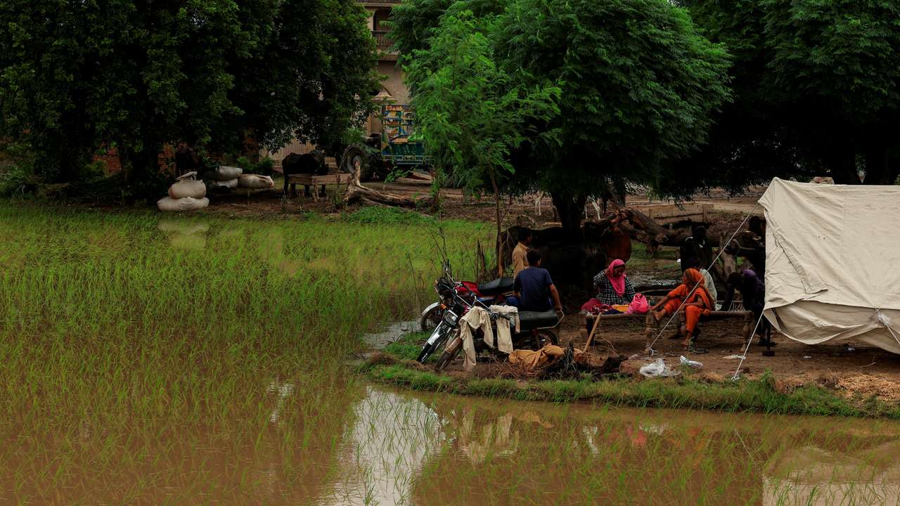 Monsoon rains and rising water levels in Patraki village, in Chiniot district