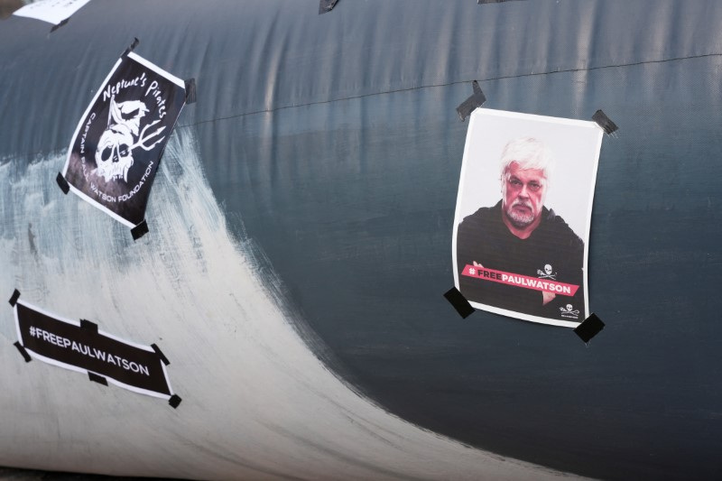 Demonstration in support of U.S.-Canadian anti-whaling activist Paul Watson in Copenhagen