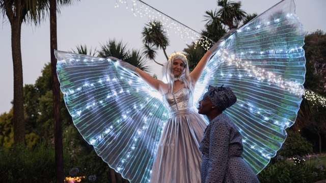 Johannesburg zoo's festival of lights sparkles with South African Christmas spirit