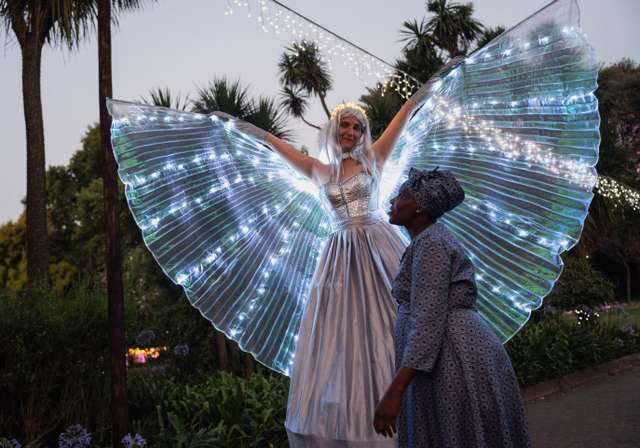 Johannesburg zoo's festival of lights sparkles with South African Christmas spirit