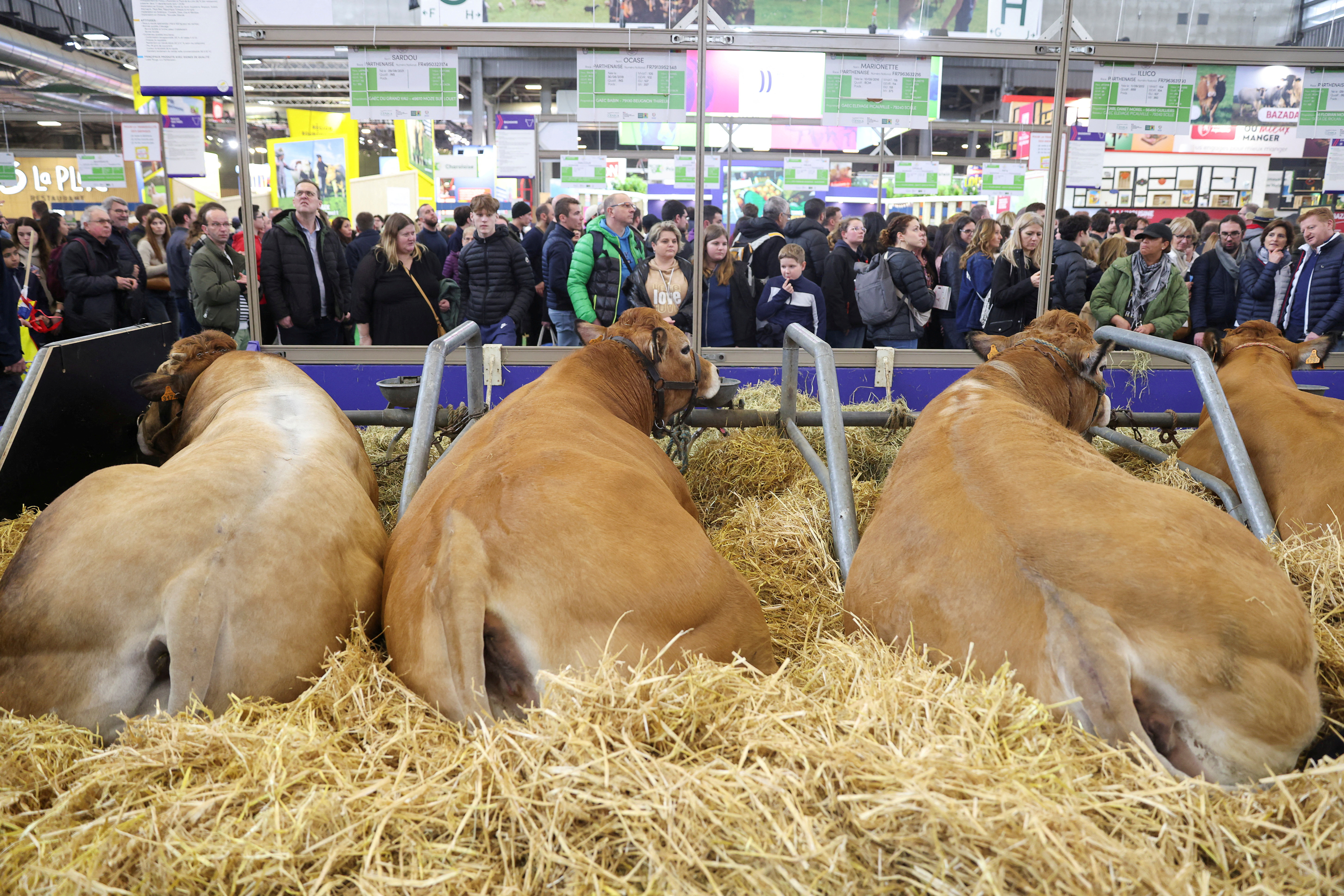FILE PHOTO: People visit the International Agriculture Fair at Porte de Versailles exhibition centre, in Paris