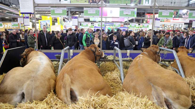 FILE PHOTO: People visit the International Agriculture Fair at Porte de Versailles exhibition centre, in Paris