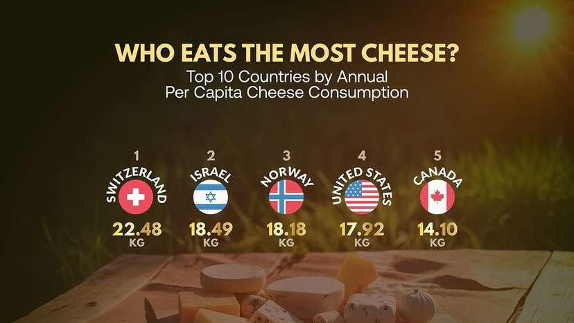 Cheese is the second most significant dairy product globally, with #Europe and #NorthAmerica leading consumption. Over the next decade, the #EU is projected to maintain its position as the top cheese exporter, hol