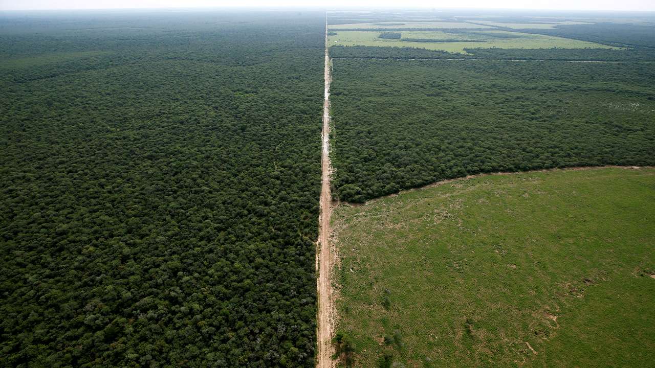 FILE PHOTO: In South America's remote Chaco, deforestation uproots natural rhythms