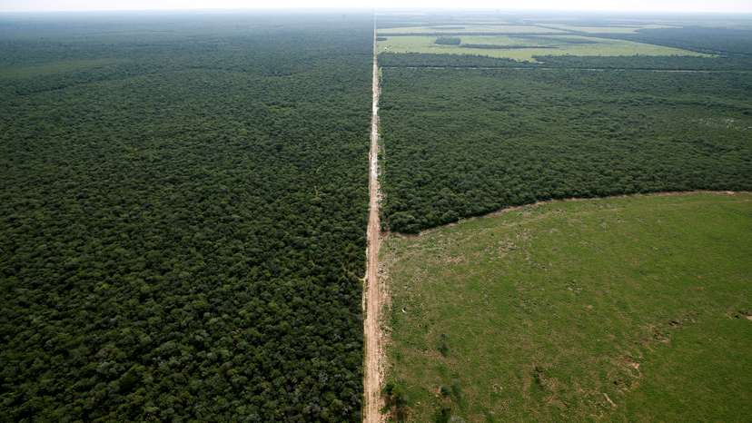 FILE PHOTO: In South America's remote Chaco, deforestation uproots natural rhythms