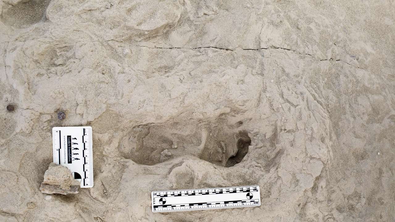 Fossil footprints in Kenya show two ancient human species coexisted