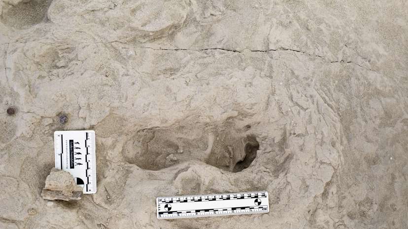 Fossil footprints in Kenya show two ancient human species coexisted