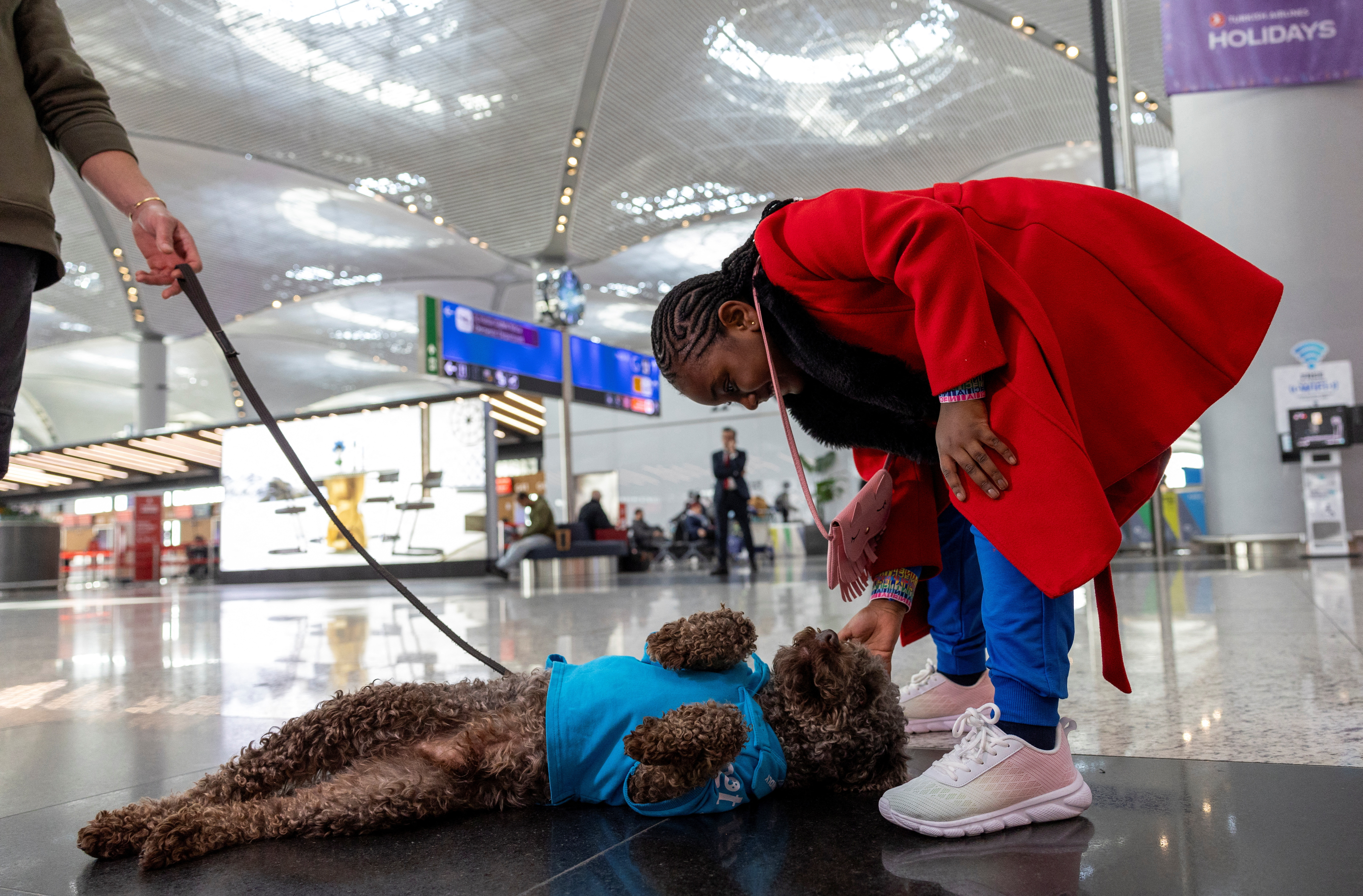 Therapy dogs roam Istanbul Airport, searching for stressed passengers who are looking to calm their nerves before they board their flight, in Istanbul