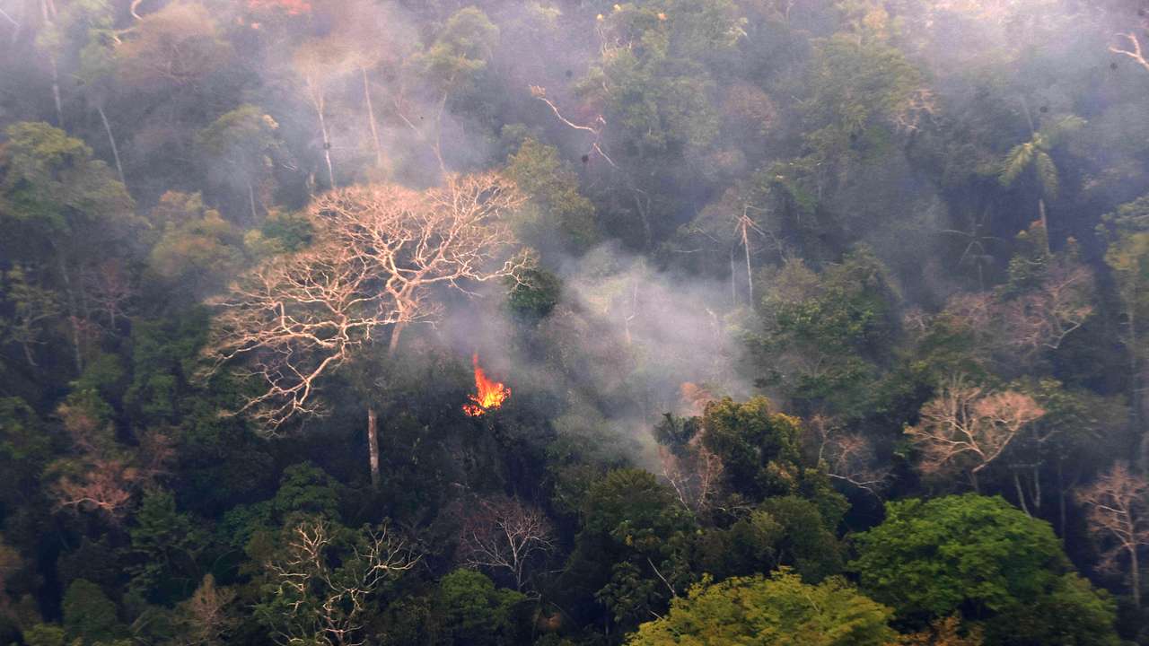 Forest fires in Peru ravage thousands of hectares
