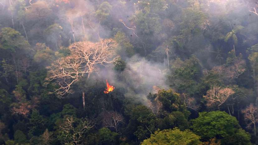 Forest fires in Peru ravage thousands of hectares