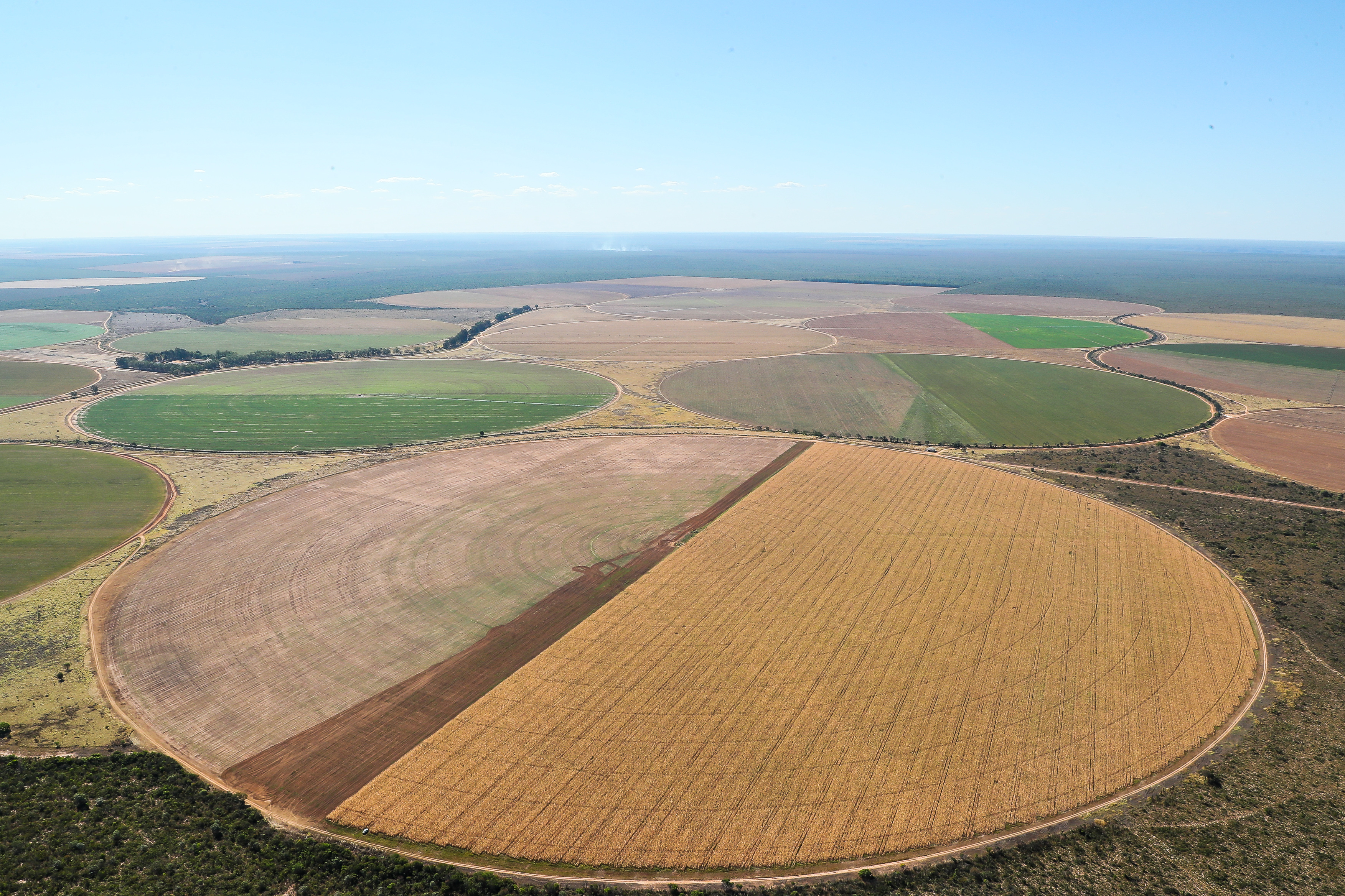 Agronegócio-Bahia