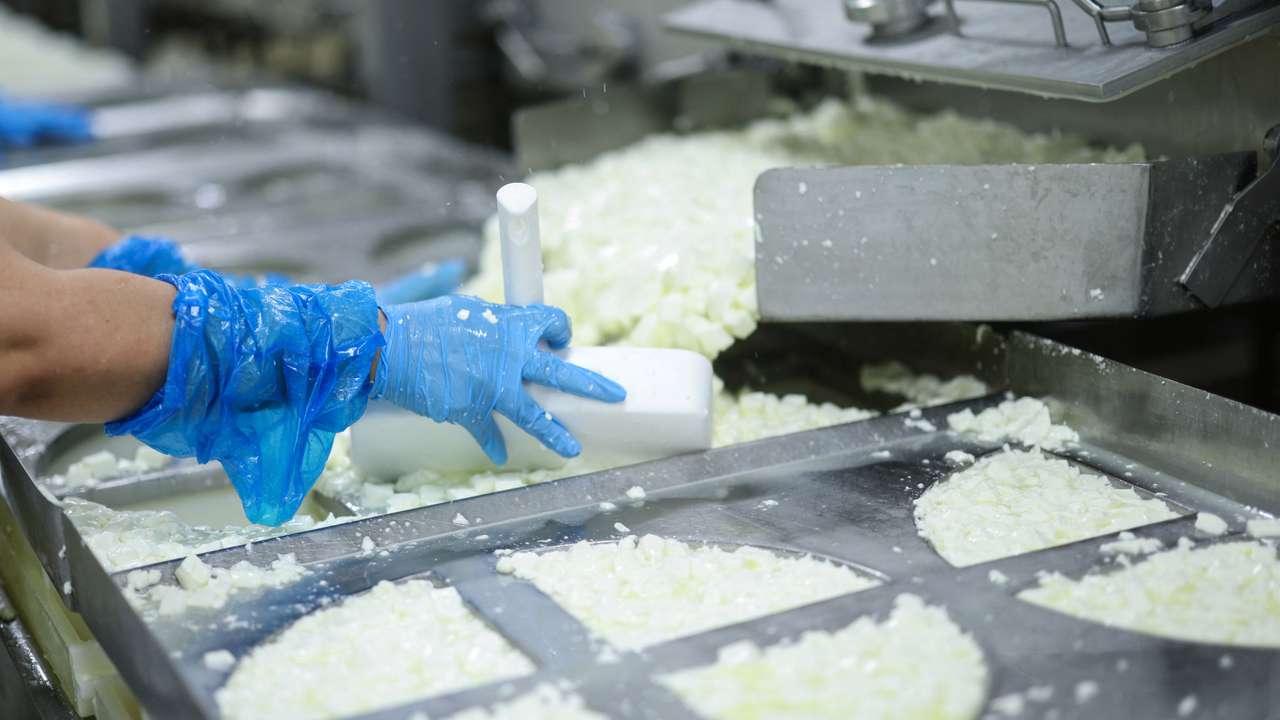 People work at cooperative producing traditional Greek feta cheese in Kalavrita