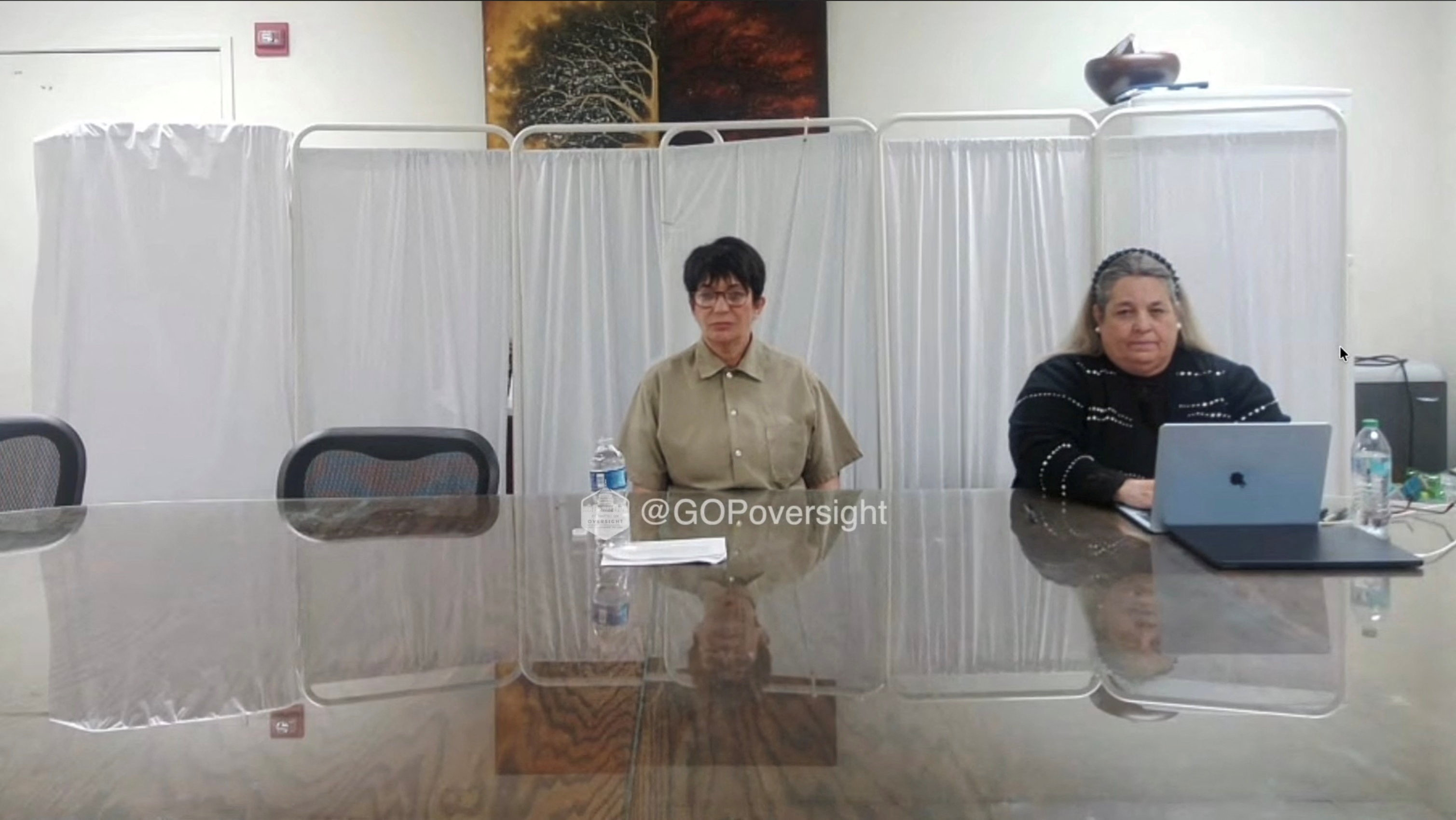 Ghislaine Maxwell addresses the House Oversight Committee in Washington