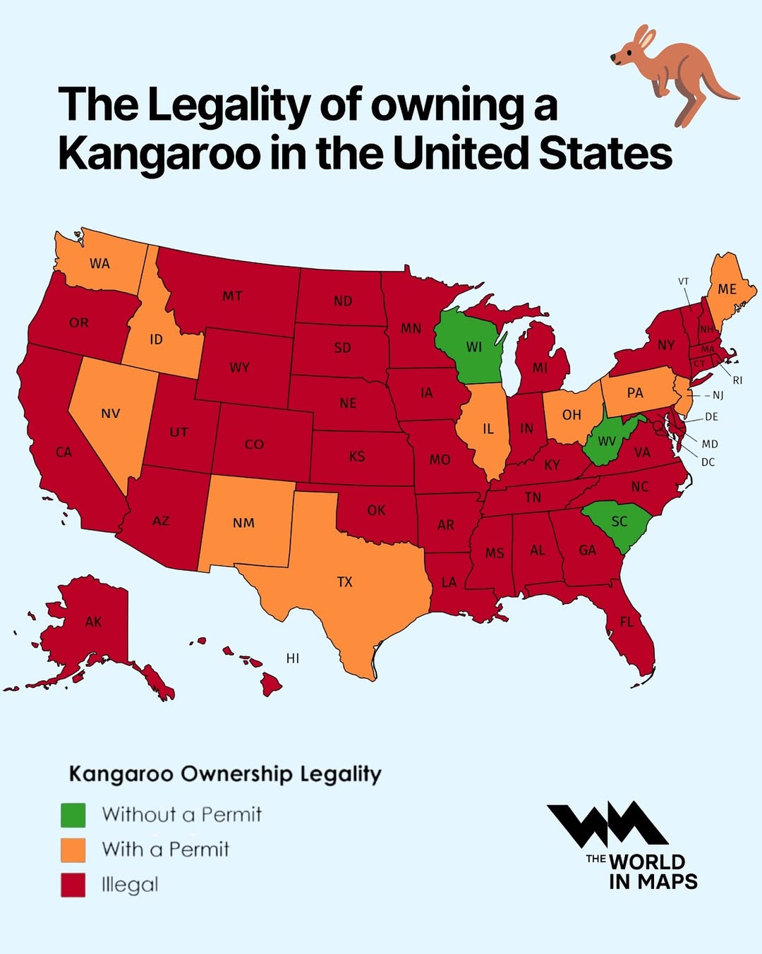 Thinking of getting a kangaroo as a pet 🦘 You might want to check your state laws first!This ma