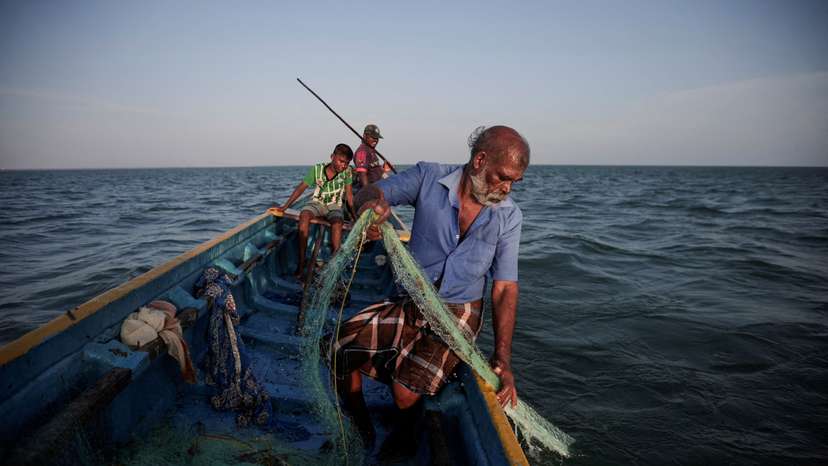 Fisherman Parasamy Thanabalasingam catches fish in the waters of the Indian Ocean, off the coast of Jaffna