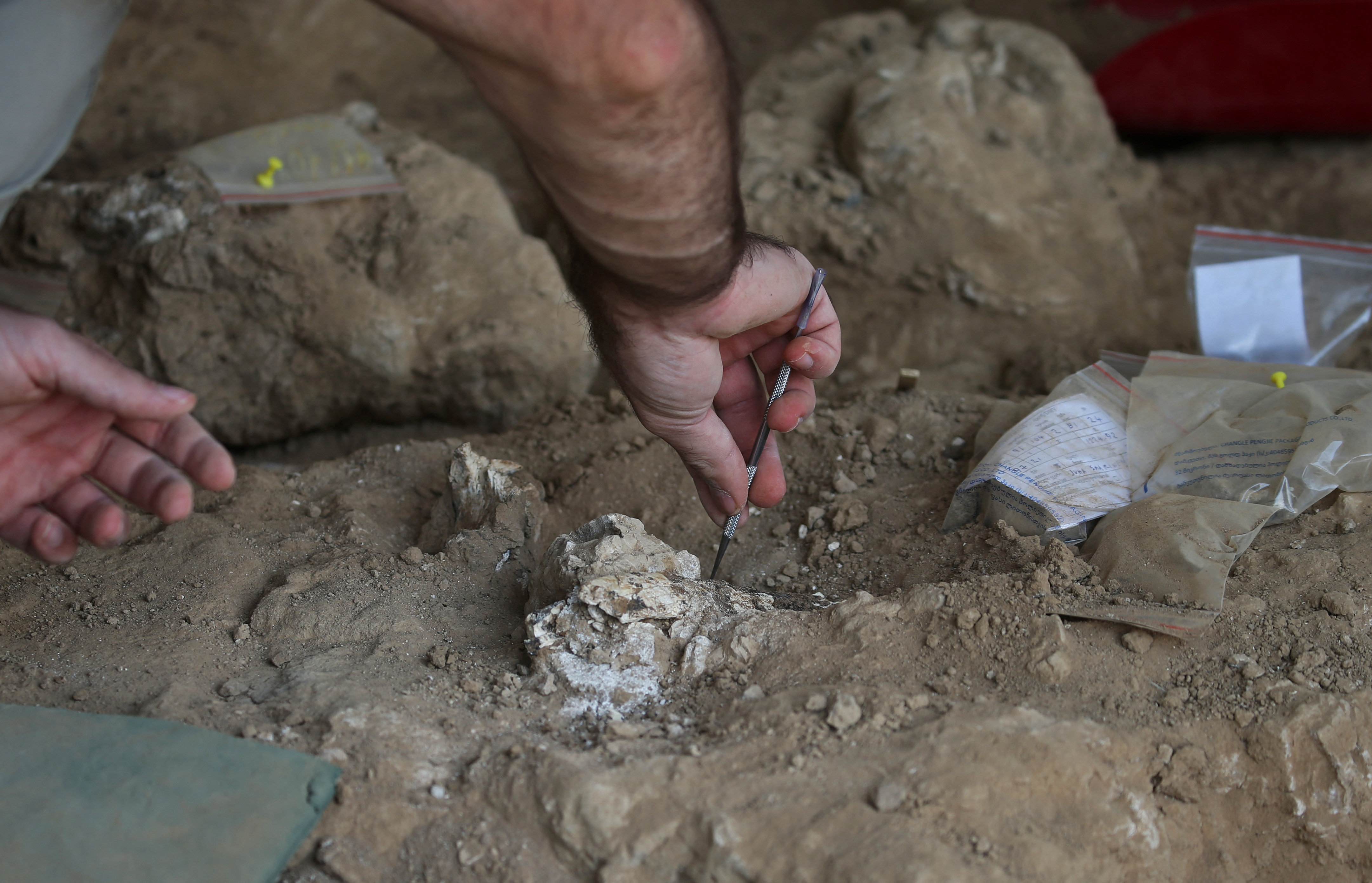Georgian archaeologists unearth a presumably dated 1.8-million-year-old jawbone, in Kvemo Orozmani