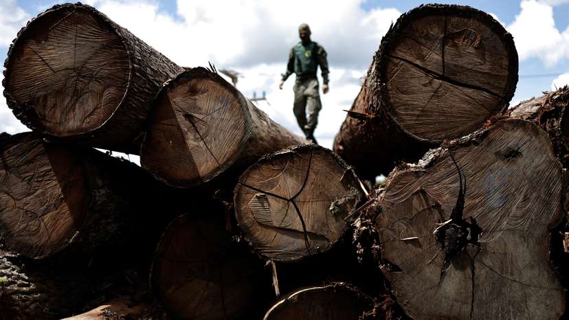 Lula's Amazon pledge looks distant as Brazil battles deforestation