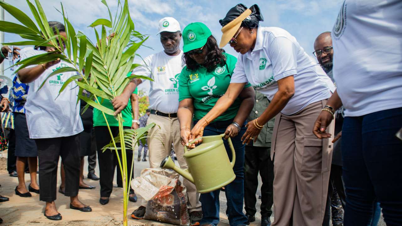 Green Ghana planting