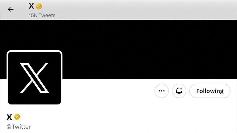 A screen capture of Twitter's official page with an "X" on the profile image