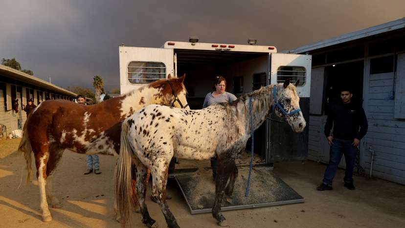 FILE PHOTO: The Wider Image: 'The worst I've seen:' Reuters visuals journalists on the LA wildfires