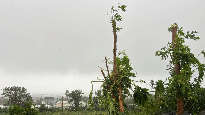Cyclone Garance hits French island La Reunion