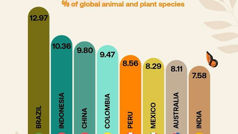 Brazil leads the world in biodiversity, home to nearly 13% of global animal and plant species, according to a study by World Rainforests. Its vast tropical ecosystems make it a cornerstone in any global conservation strategy. Following Braz