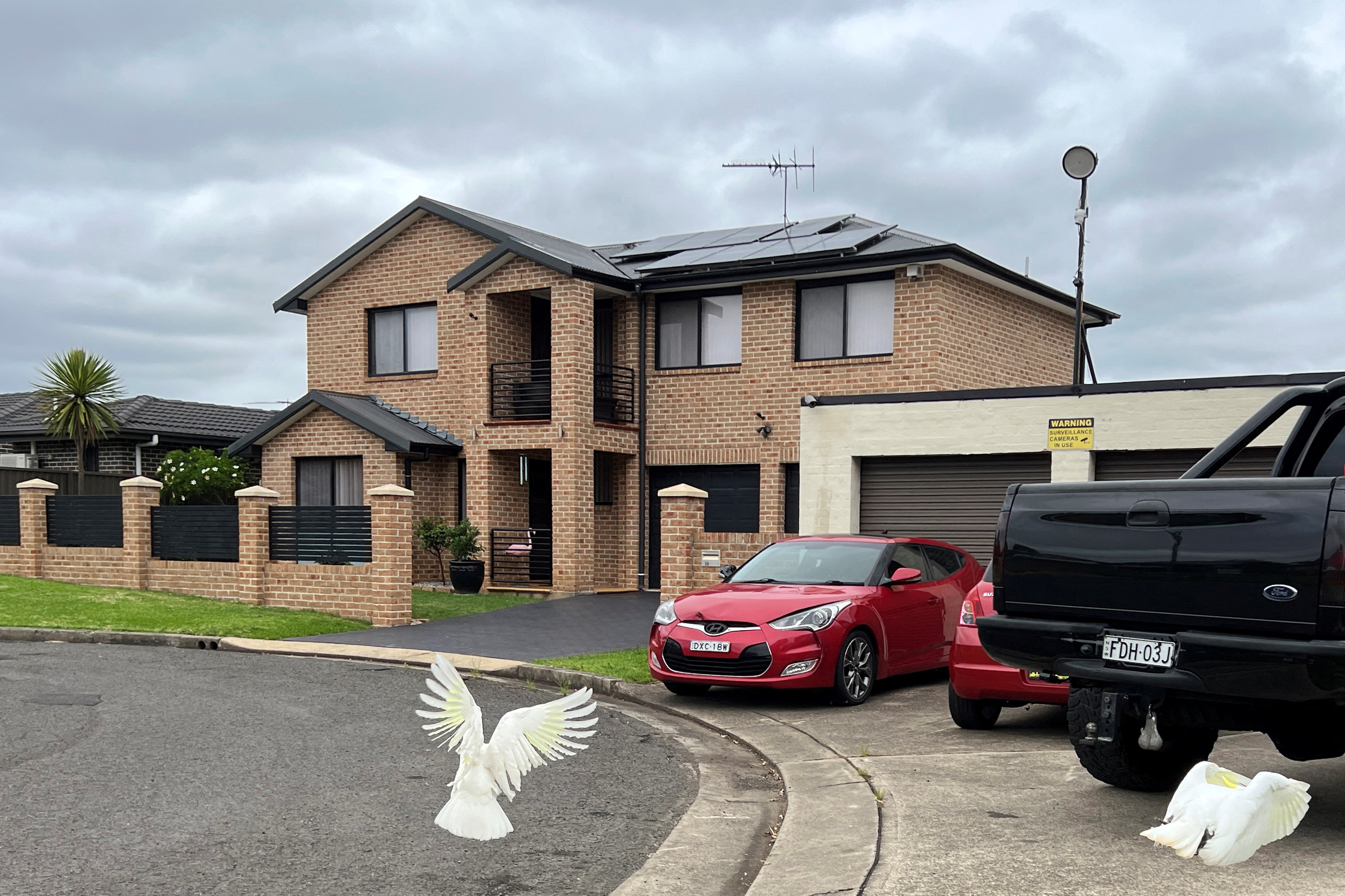 Cars park outside a house in Casula
