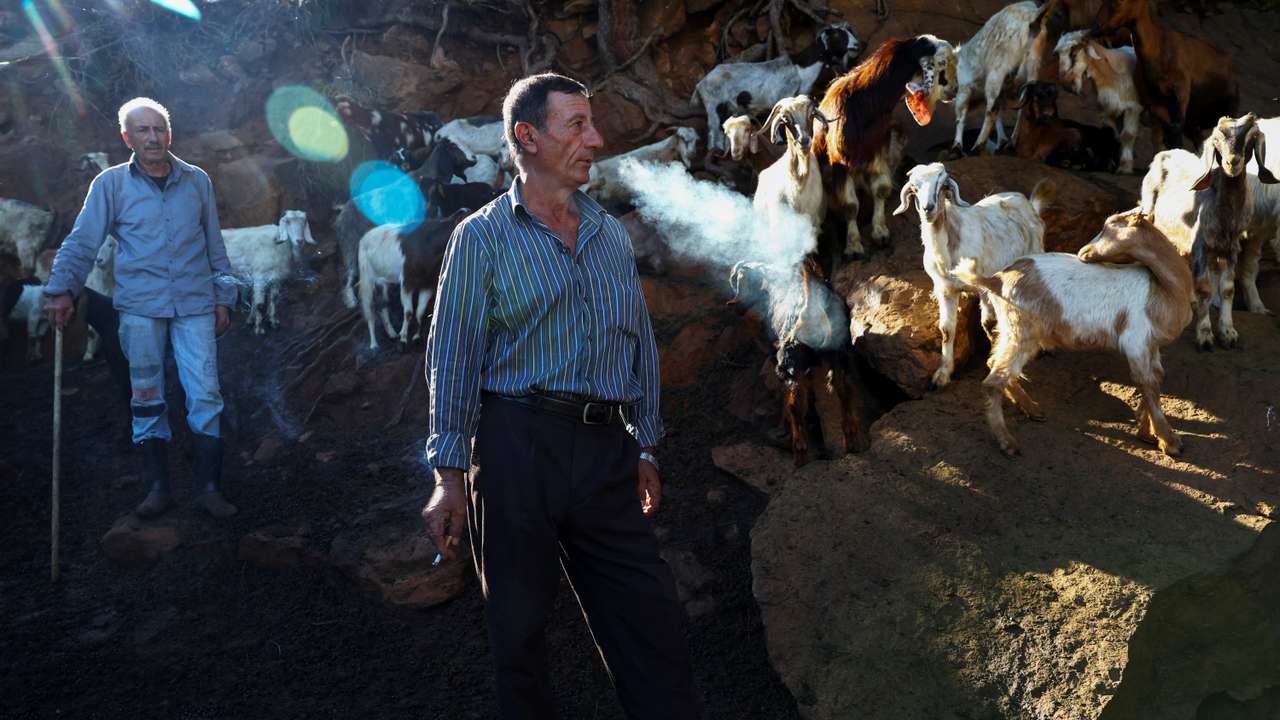 Lebanese shepherd, Tony al-Amil, smokes a cigarette as he stands near his livestock in Fanar