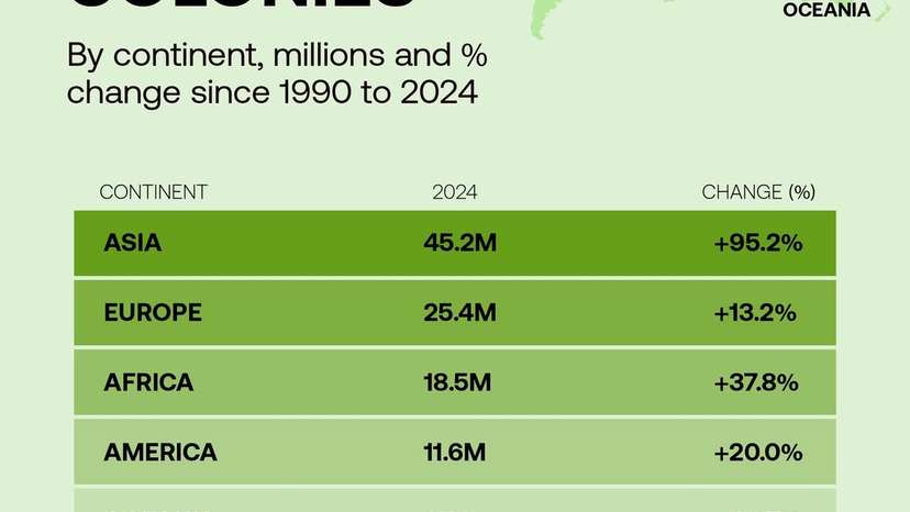 Global honey bee colonies surge