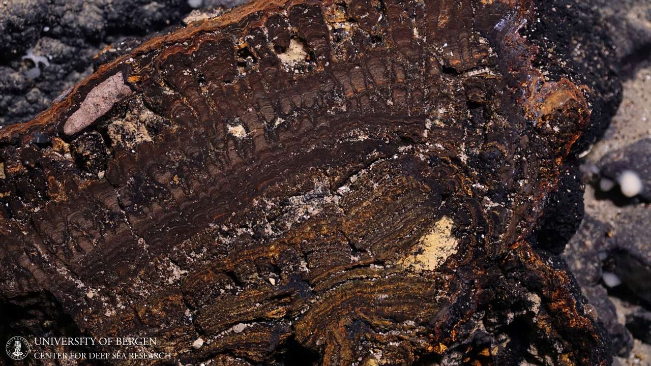 A view shows a cross-section of a manganese crust at the bottom of the Norwegian Sea, in this undated handout picture. University of Bergen, Centre for Deep Sea Research/Handout via REUTERS/File Photo