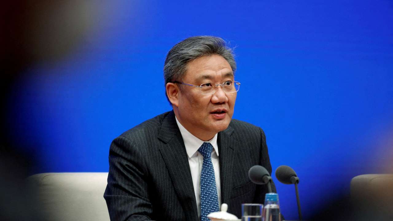 FILE PHOTO: Chinese Commerce Minister Wang Wentao in Beijing