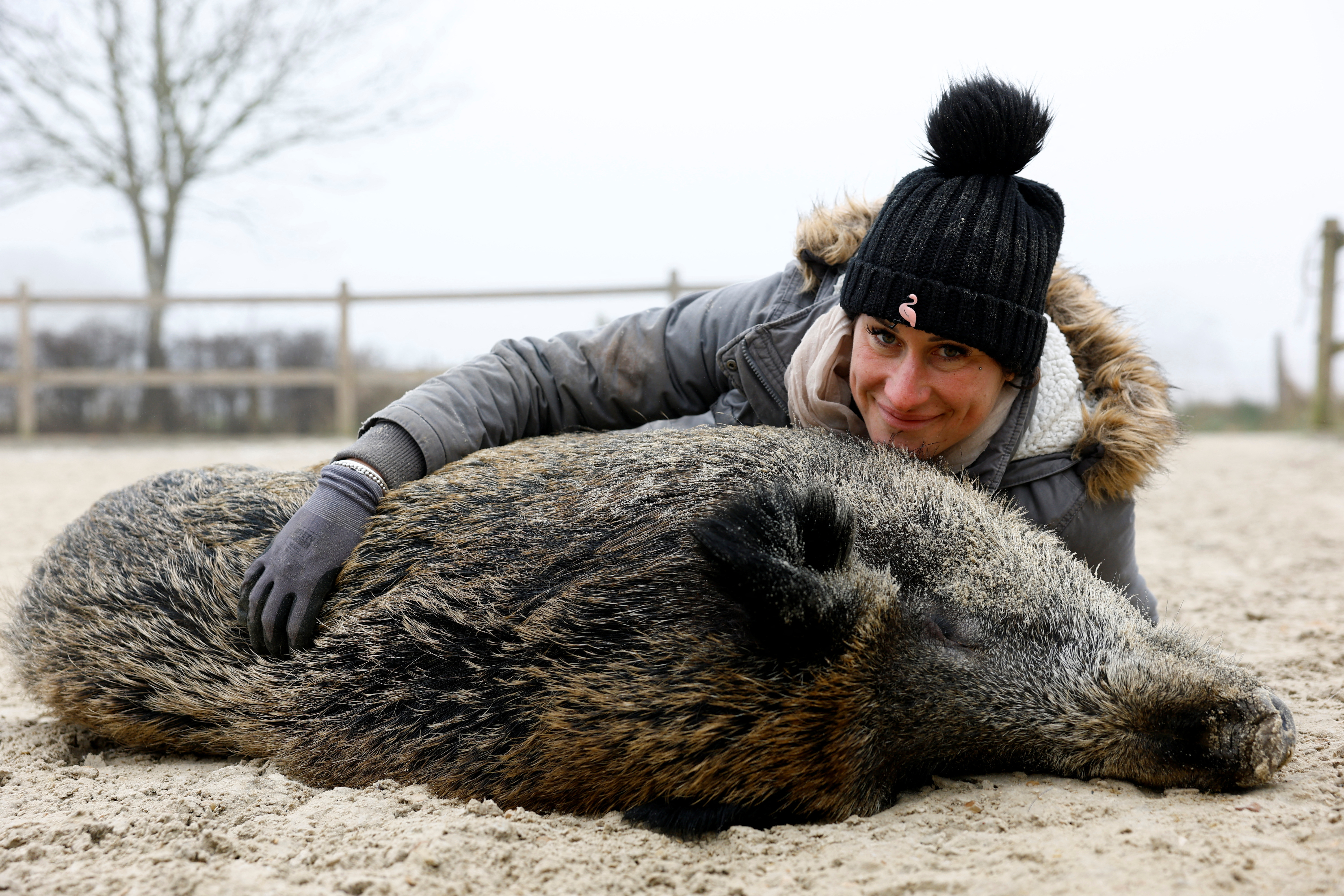 French horse breeder Elodie Cappe fights to keep a saw named Rillette at home